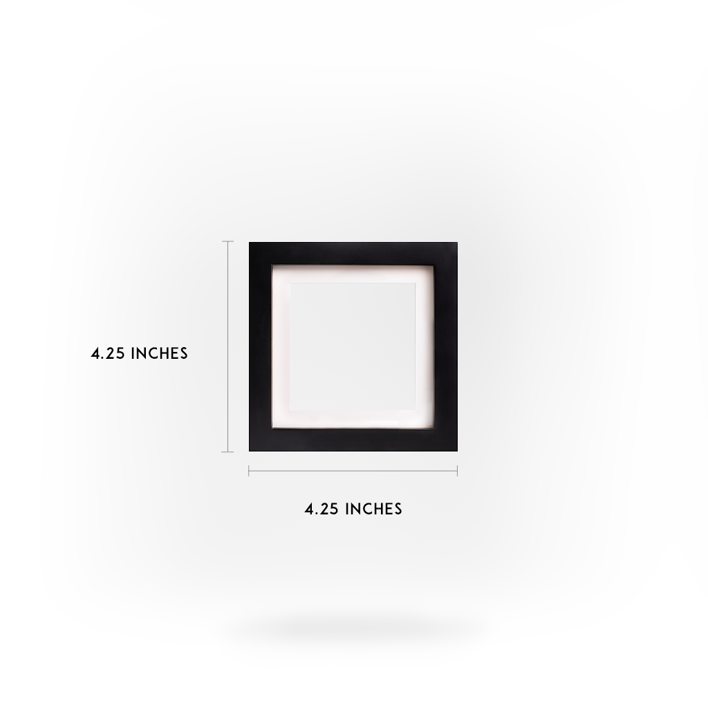 Bear - Jean-Pierre Weill Studios